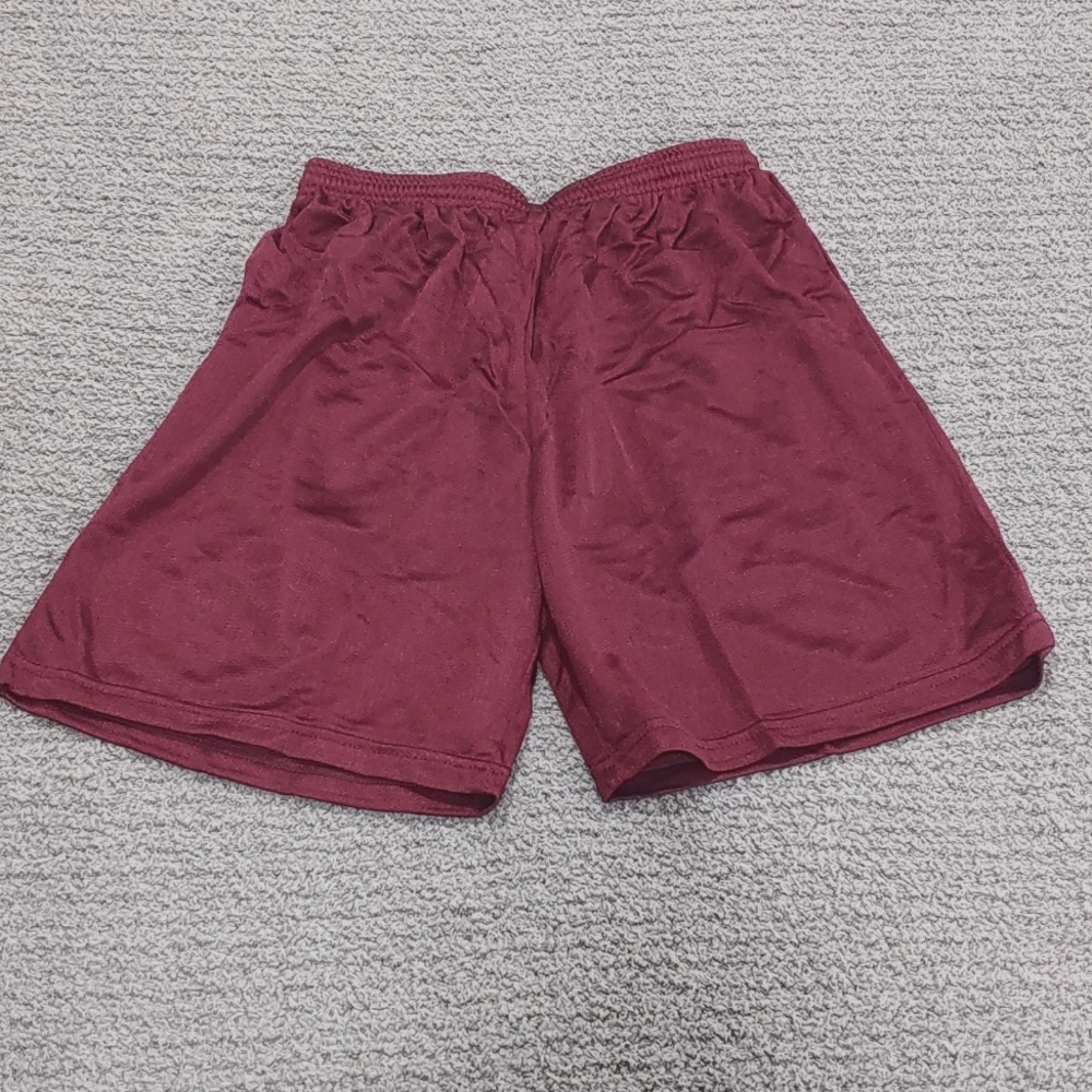 Nylon Micro Mesh Shorts NWT
